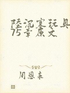 陆沉塞玩具高速75章原文