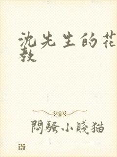 沈先生的花式调教