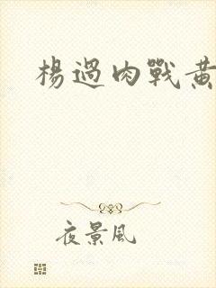 杨过肉战黄蓉