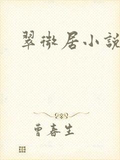 翠微居小说