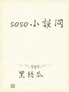 soso小说网