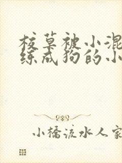校草被小混混训练成狗的小说