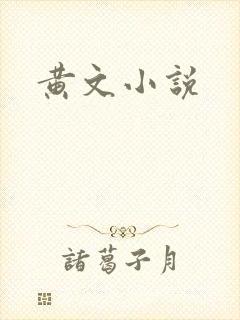 黄文小说封面