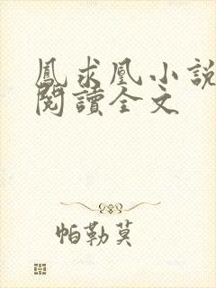 凤求凰小说免费阅读全文封面