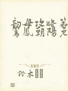 韵母攻略第二部鸾凤朝阳免费阅读