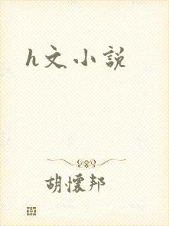h文小说