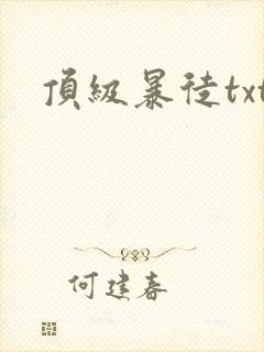 顶级暴徒txt