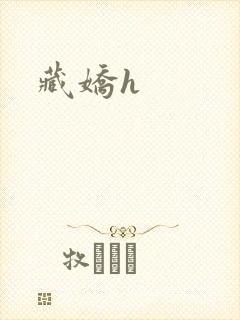 藏娇h