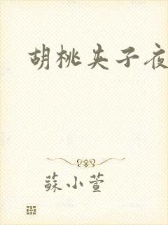 胡桃夹子夜未眠封面