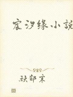 宸汐缘小说封面