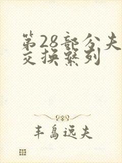 第28部分夫妇交换系列