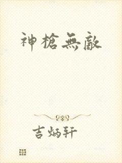 神枪无敌封面