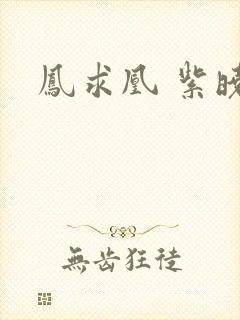 凤求凰 紫晓