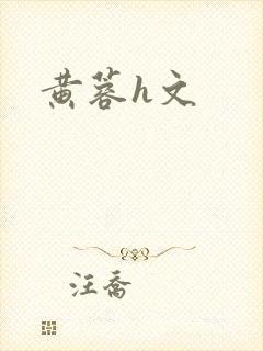 黄蓉h文