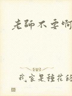 老师不要啊h封面