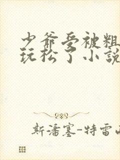 少爷受被粗汉H玩松了小说