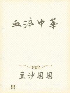 血淬中华封面