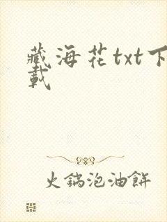 藏海花txt下载