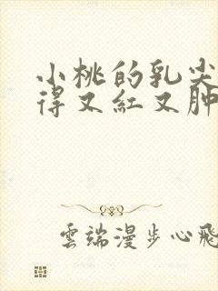 小桃的乳尖被吸得又红又肿