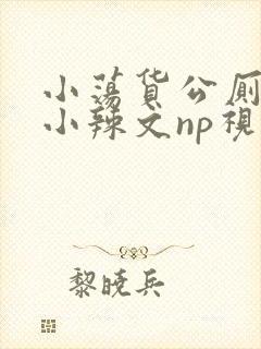 小荡货公厕h文小辣文np视频