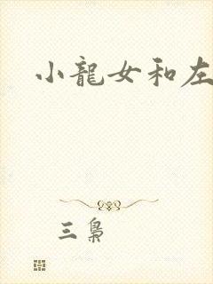 小龙女和左剑清封面