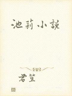 池莉小说封面