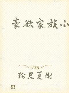 豪欲家族小说