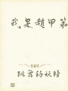 我是赵甲第小说封面