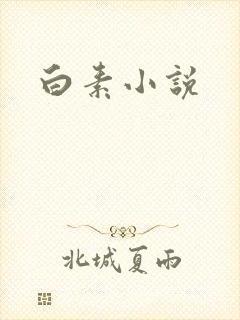 白素小说