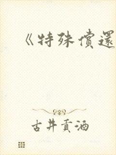 《特殊偿还》封面