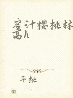 蜜汁樱桃林妙妙高h