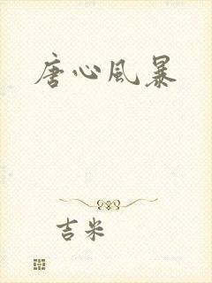唐心风暴