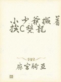 小少爷撅着屁股挨C双龙