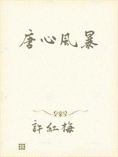 唐心风暴封面