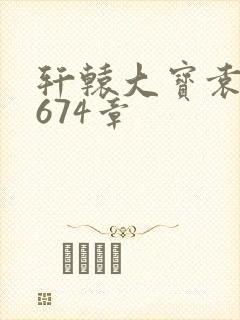 轩辕大宝袁雪妃674章封面
