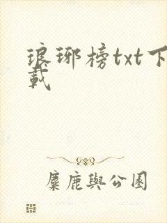 琅琊榜txt下载