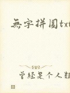无字拼图txt