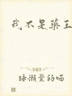 我不是药王