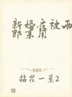 新婚夜被两个伴郎享用