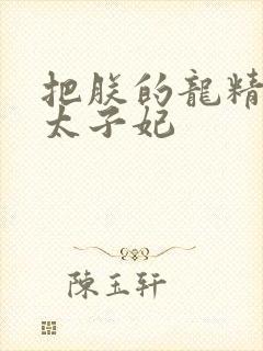 把朕的龙精含h太子妃封面