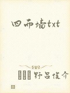 四面墙txt