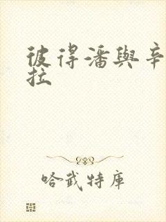 彼得潘与辛德瑞拉