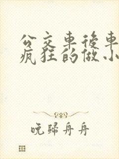 公交车后车座的疯狂的做小