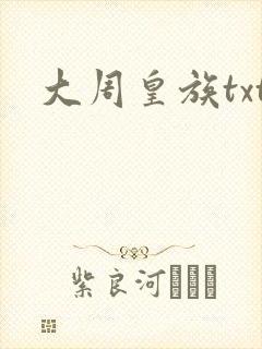 大周皇族txt