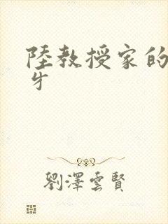 陆教授家的小月牙
