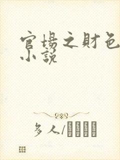 官场之财色诱人小说