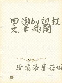 回潮by词枝全文笔趣阁封面