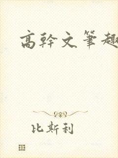 高干文笔趣阁封面