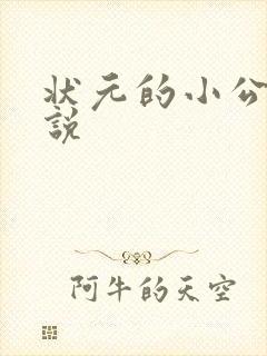状元的小公主小说
