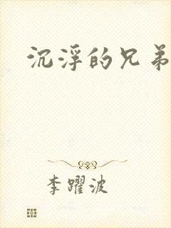 沉浮的兄弟封面
